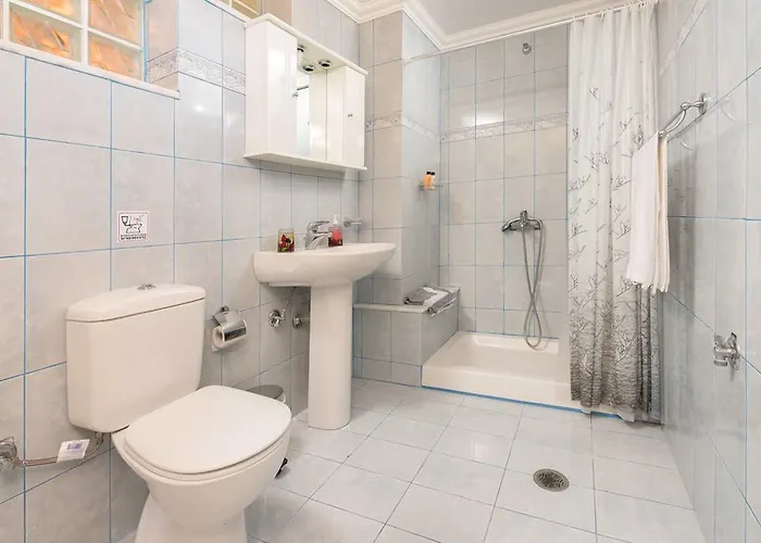 Apartament Traditional House *